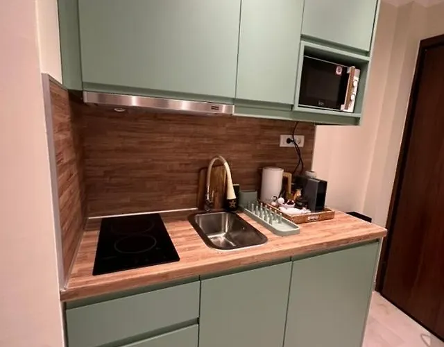 Sharon Stone Lux 公寓 *